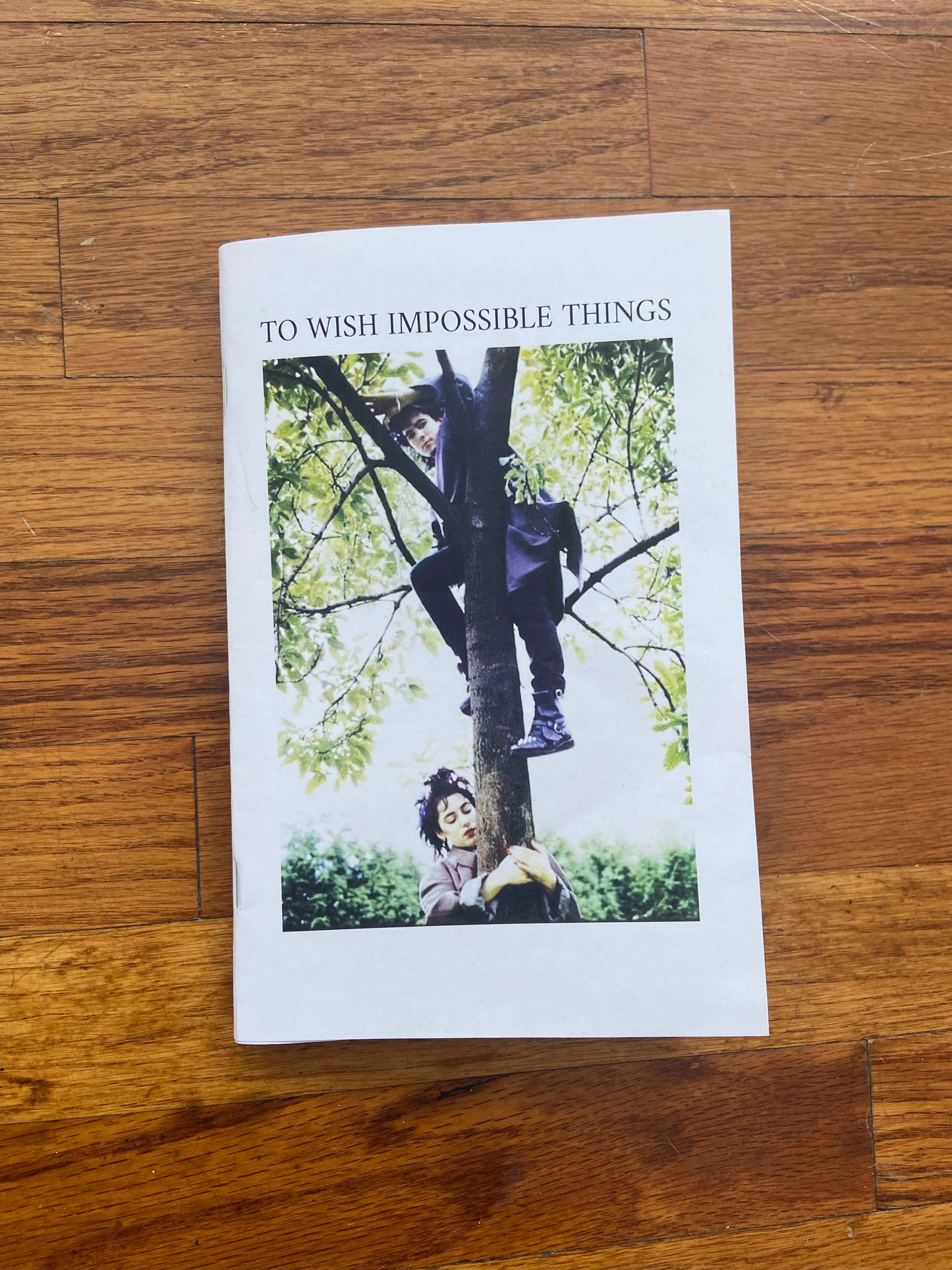To Wish Impossible Things Zine