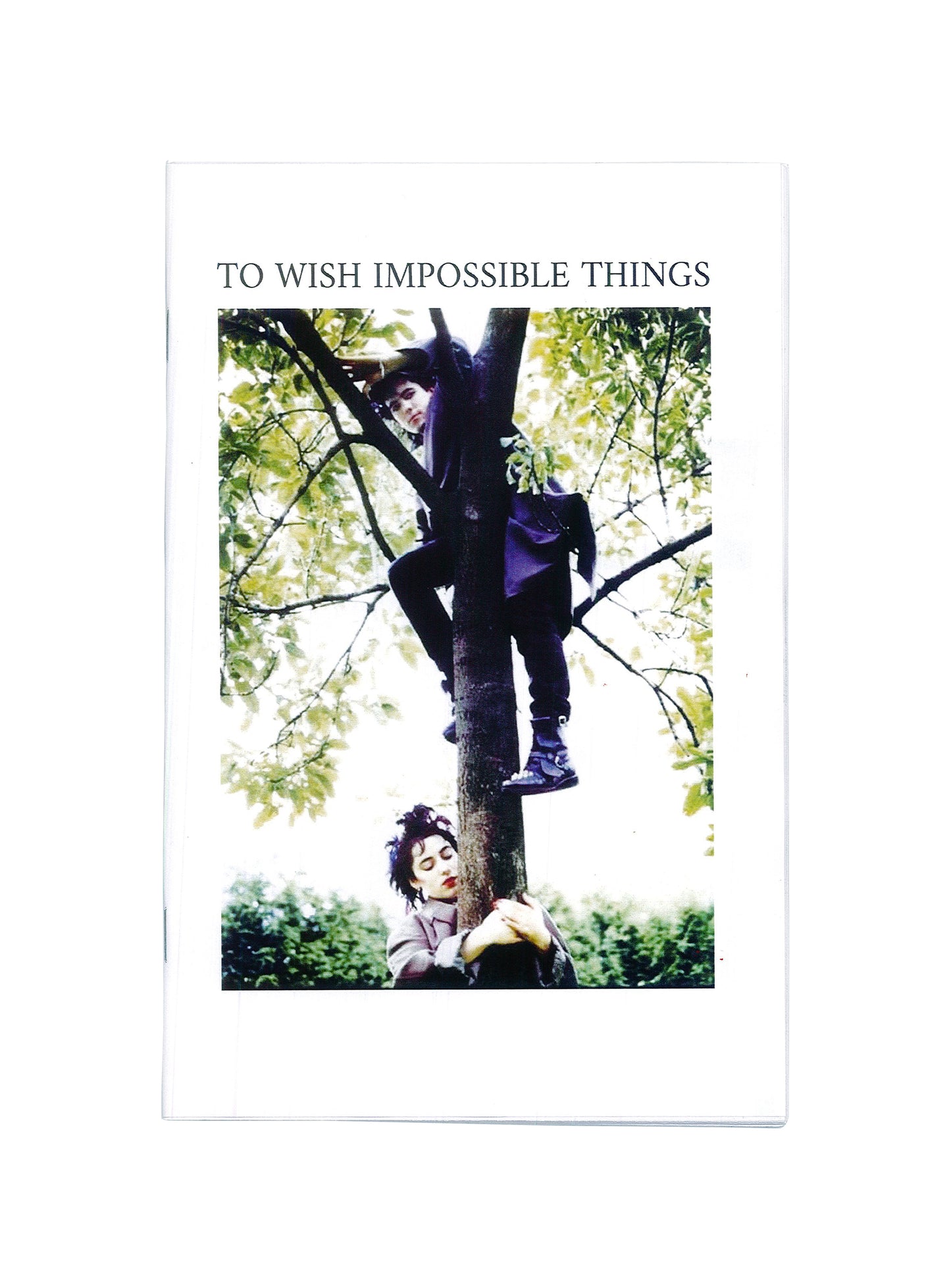 To Wish Impossible Things Zine